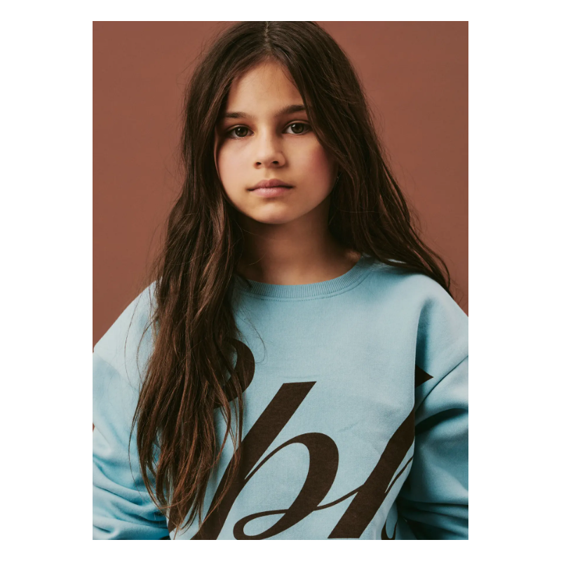 NAME IT KIDS Lana langærmet relaxed sweatshirt - Milky Blue