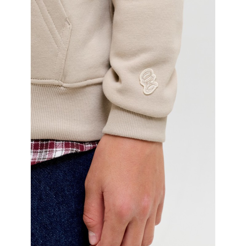 JACK & JONES JUNIOR Frederiksberg monogram sweat hoodie - Feather Gray