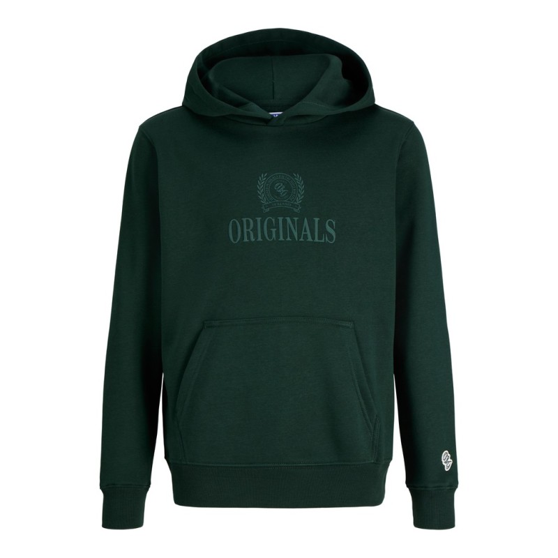 JACK & JONES Junior Frederiksberg monogram sweat hoodie - Pine Grove