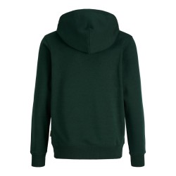 JACK & JONES Junior Frederiksberg monogram sweat hoodie - Pine Grove