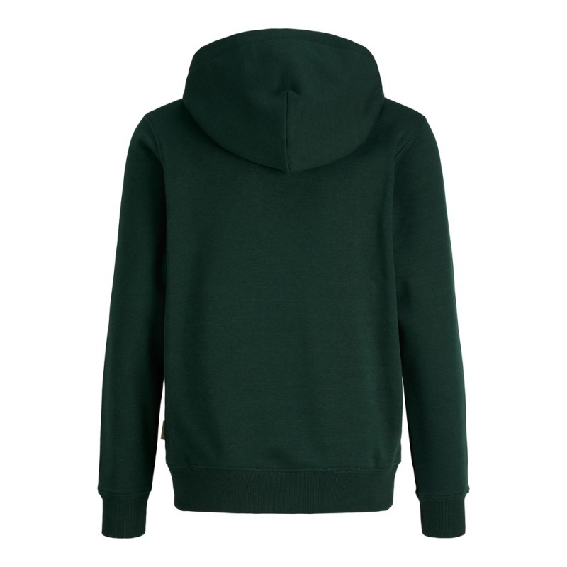 JACK & JONES Junior Frederiksberg monogram sweat hoodie - Pine Grove