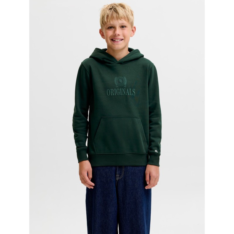 JACK & JONES Junior Frederiksberg monogram sweat hoodie - Pine Grove