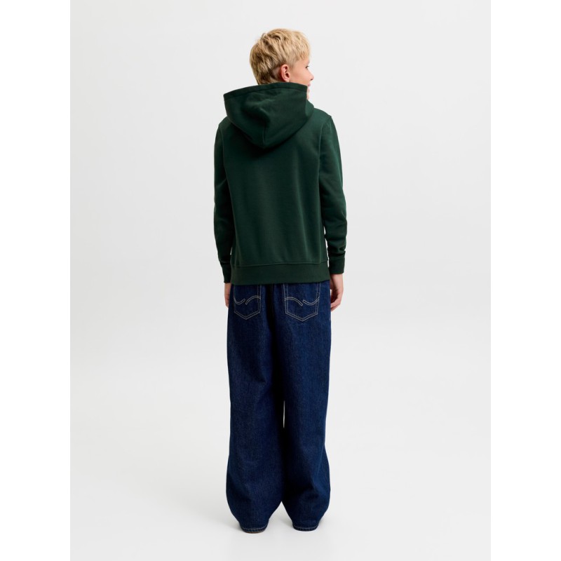 JACK & JONES Junior Frederiksberg monogram sweat hoodie - Pine Grove