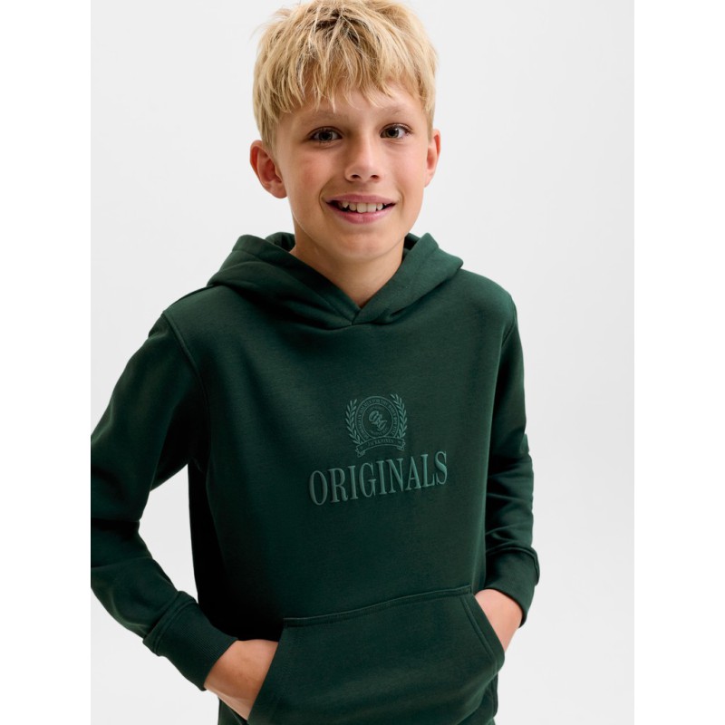 JACK & JONES Junior Frederiksberg monogram sweat hoodie - Pine Grove