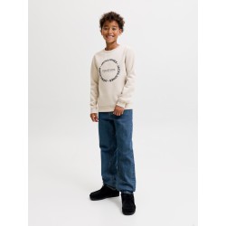 JACK & JONES Benson Sweatshirt - Moonbeam