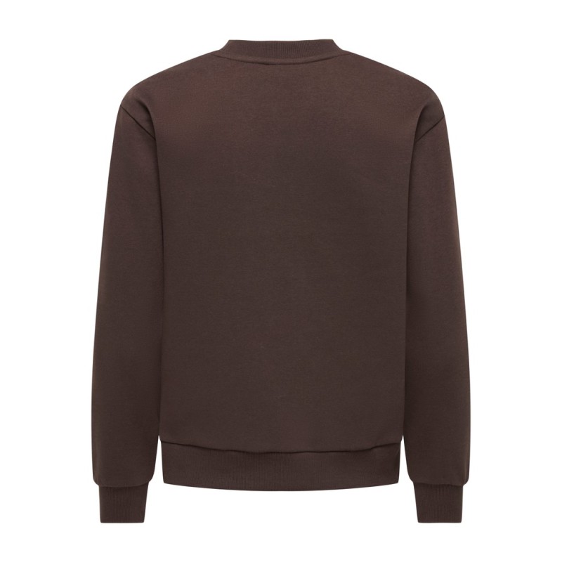 JDY Paris langærmet sweatshirt - Coffee Bean