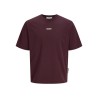 JACK & JONES Club back script T-shirt - Fudge