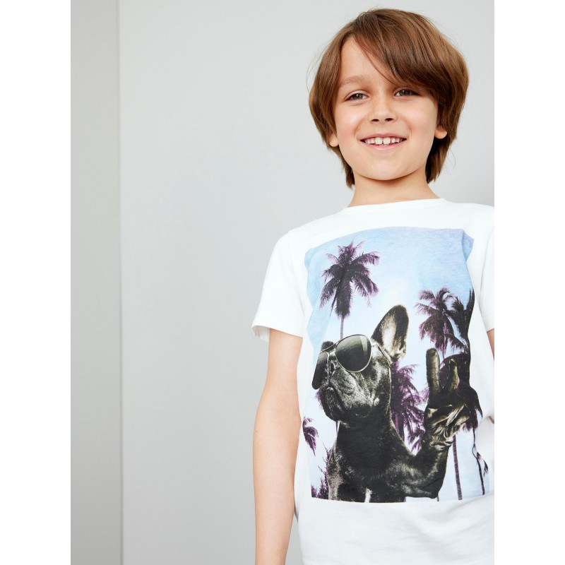 NAME IT KIDS VOTO S/S T-SHIRT - WHITE ALYSSUM