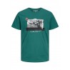 JACK & JONES Plus T-shirt - Evergreen