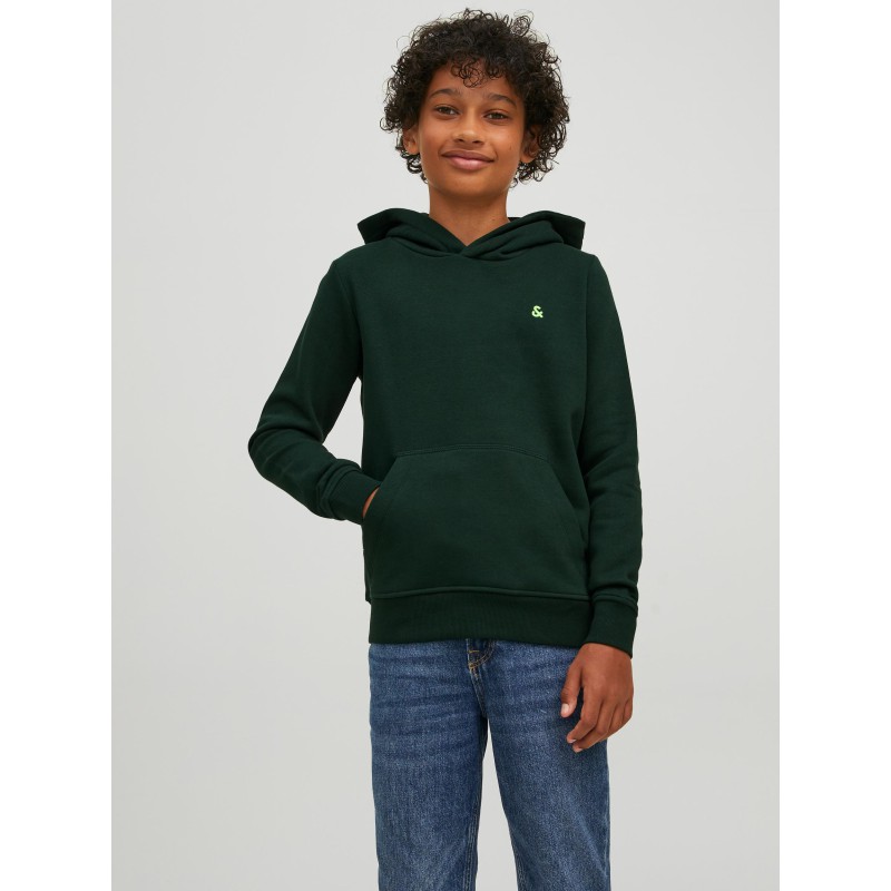 Jack & Jones Junior Star Roof hoodie - Pine Grove