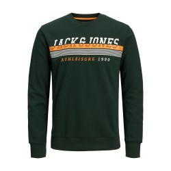 Jack & Jones Junior Ron sweatshirt - Pine Grove