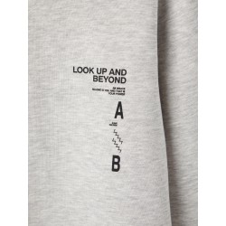 LMTD Krag Sweatshirt - Light Grey