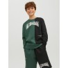 JACK & JONES Junior Skater Sweatshirt - Trekking Green