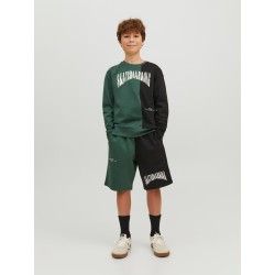 JACK & JONES Junior Skater Sweatshirt - Trekking Green