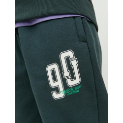 JACK & JONES Junior Tribeca Sweatpants - Magical Forest