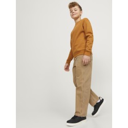 JACK & JONES JUNIOR Jjialex Jjcarpenter Wi 050 Sn Junior - Tigers Eye