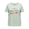 ONLY CARMAKOMA Telly Life Boxy T-shirt - Subtle Green