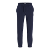 JJ Rebel Gorm Regular Logo Sweatpants - Sky Captain