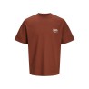 JACK & JONES Junior Noho Ryg Grafisk T-shirt - Brandy Brown