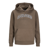 JACK & JONES JUNIOR Caleb Varsity Sweatshirt Junior - Canteen