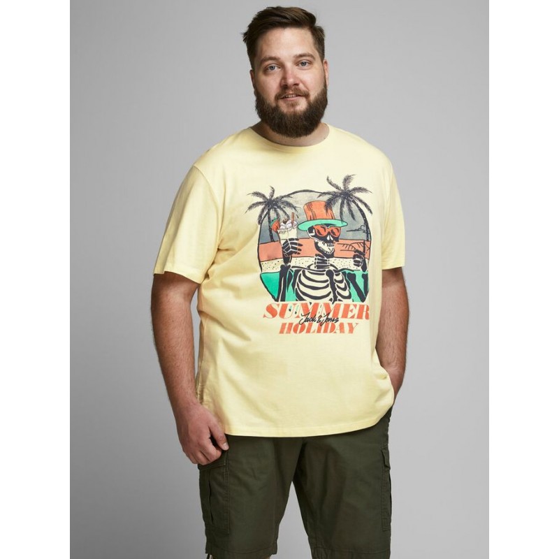 JACK & JONES Plus Roniket  T-shirt - FLAN