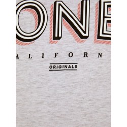 Jack & Jones Plus size Venice Beach T-shirt - White Melange