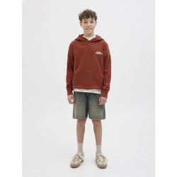 JACK & JONES JUNIOR Paros Type Hoodie - Arabian Spice