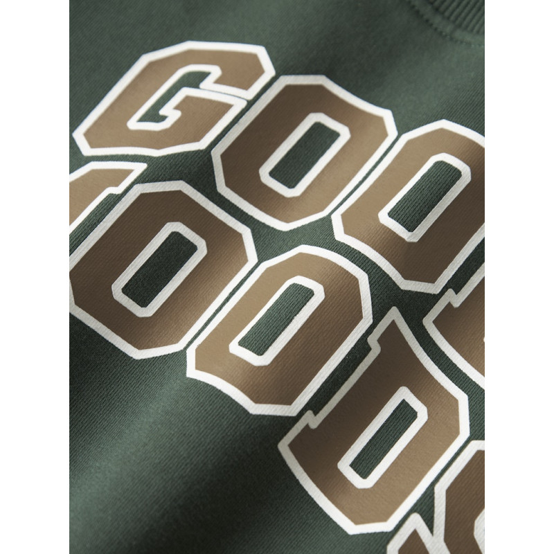 NAME IT MINI Lancer Sweatshirt - Garden Topiary